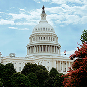 Image of U.S. Capitol