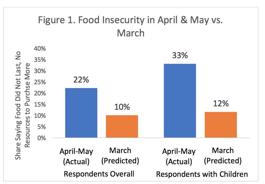 Food Insecurity Remains at Persistently High Levels in May: Institute ...